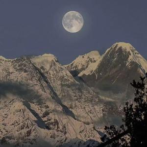 黄色网络按摩推油操逼毛片
