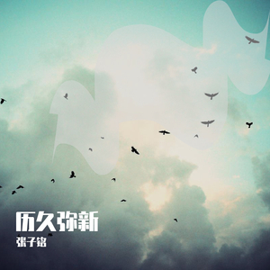 黄色网络按摩推油操逼毛片
